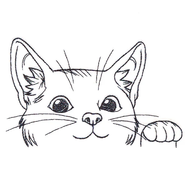 Curious Cat Pocket Peeker