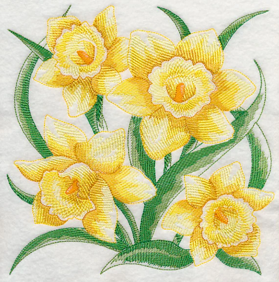 Daffodil Sketch - Image 6