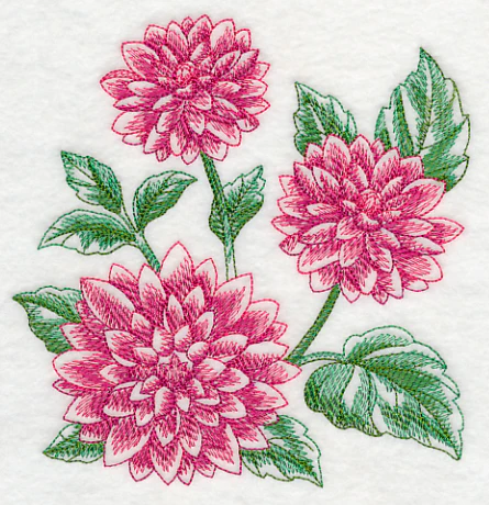 Dahlia Sketch - Image 3