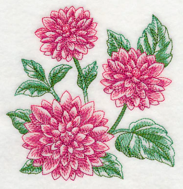 Dahlia Sketch - Image 4