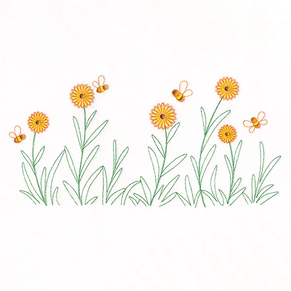 Daisies & Honeybees Border
