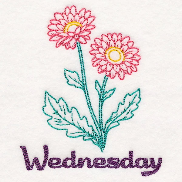 Daisies on Wednesday (Vintage)
