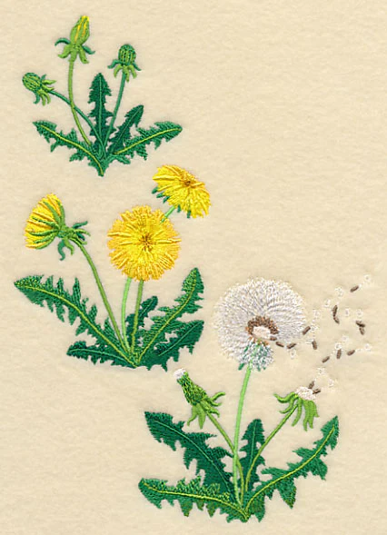 Dandelion Collage - Image 3