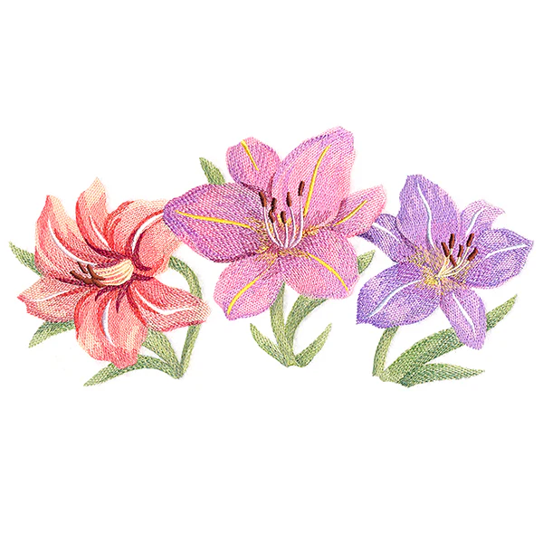 Daylilies in Watercolor - Image 2