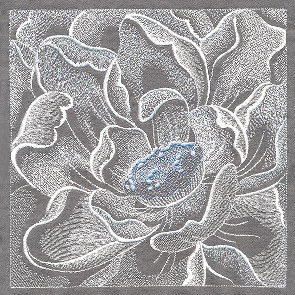 Delicate Blooming Petals