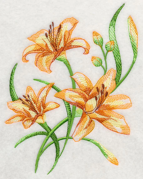 Delicate Daylilies 2 - Image 4