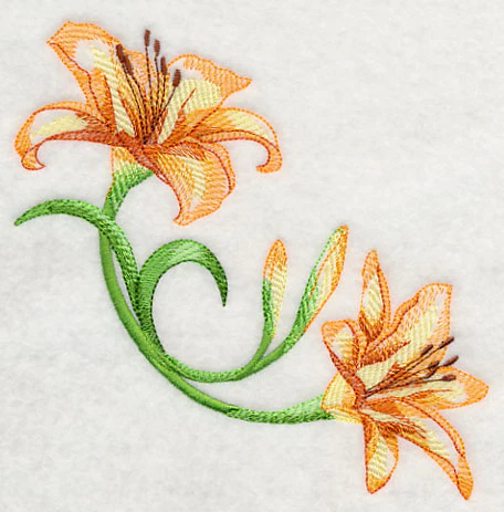Delicate Daylilies Corner 2 - Image 4