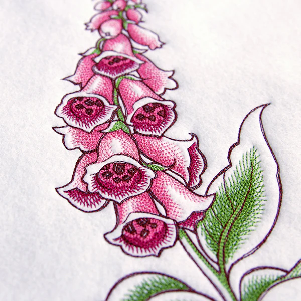 Delicate Floral Stems Design Pack - Image 3