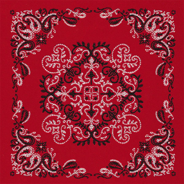 Delicate Paisley Pattern Bandana Pillow Pair - Image 12
