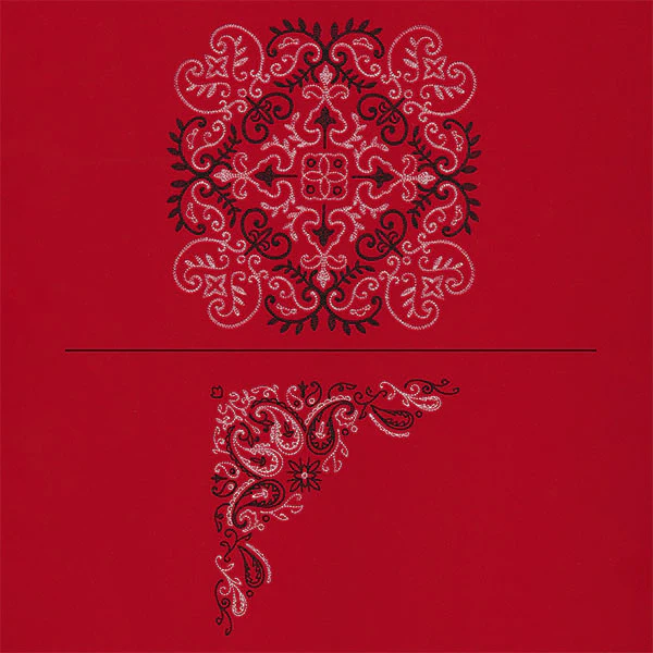 Delicate Paisley Pattern Bandana Pillow Pair - Image 3