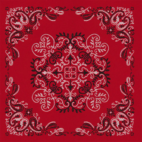 Delicate Paisley Pattern Bandana Pillow Pair - Image 8