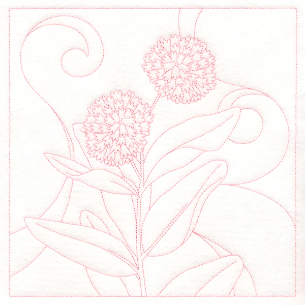 Delicate Wildflowers - Milkweed - Image 6