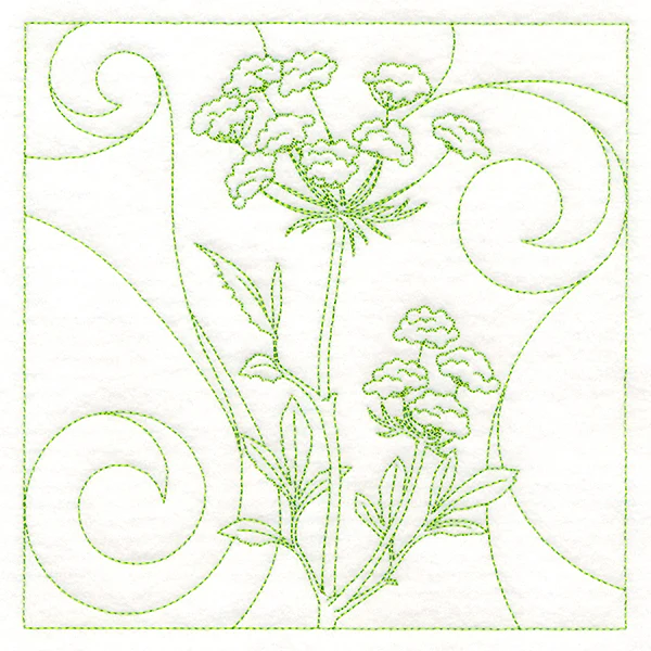 Delicate Wildflowers - Queen Anne's Lace - Image 3