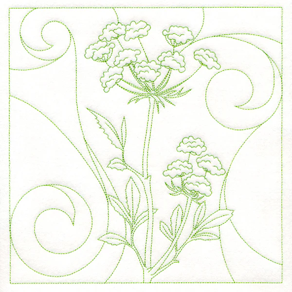 Delicate Wildflowers - Queen Anne's Lace - Image 6