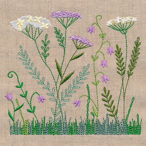 Delicate Yarrow in Bloom - Image 3