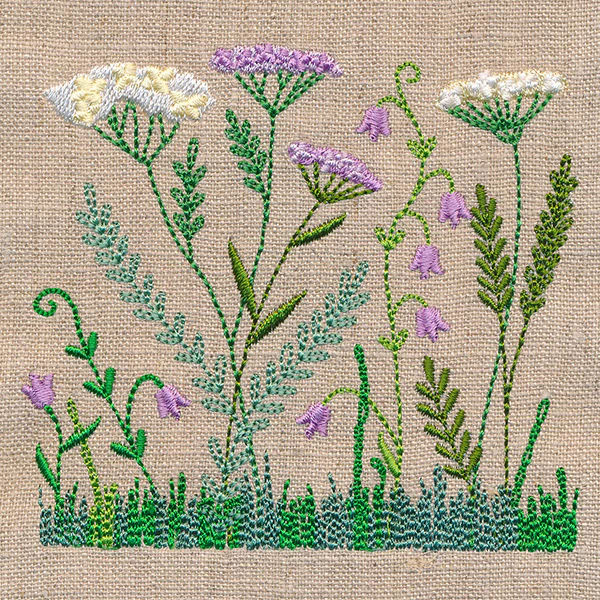 Delicate Yarrow in Bloom - Image 4