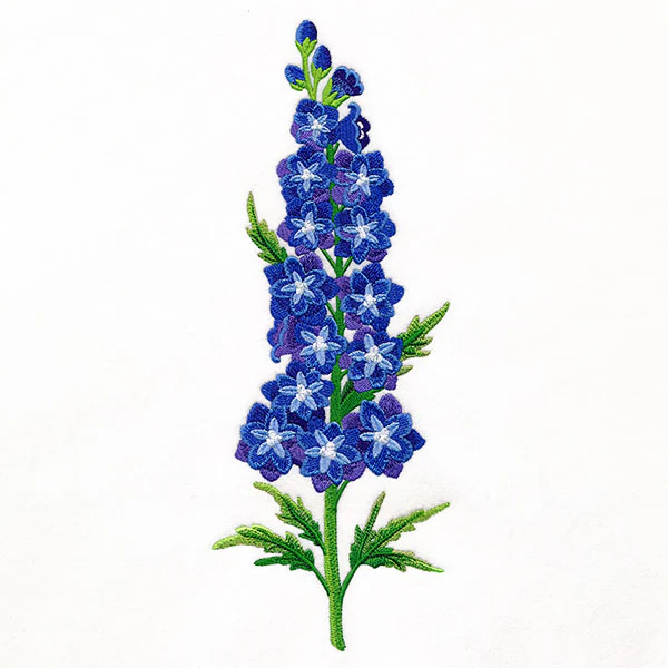 Delight and Belladonna Delphinium Tall Border