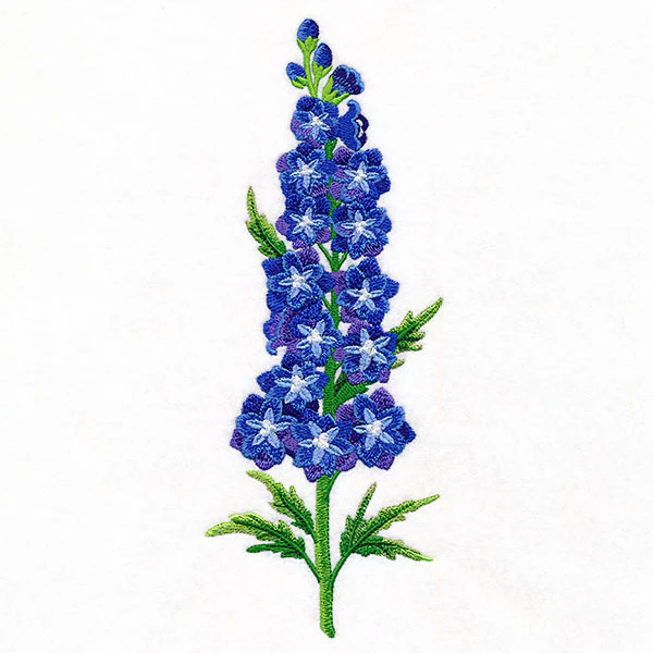 Delight and Belladonna Delphinium Tall Border - Image 3