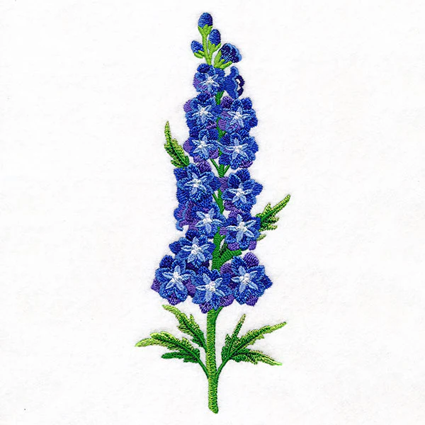 Delight and Belladonna Delphinium Tall Border - Image 5