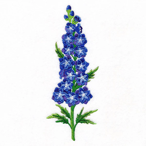 Delight and Belladonna Delphinium Tall Border - Image 7
