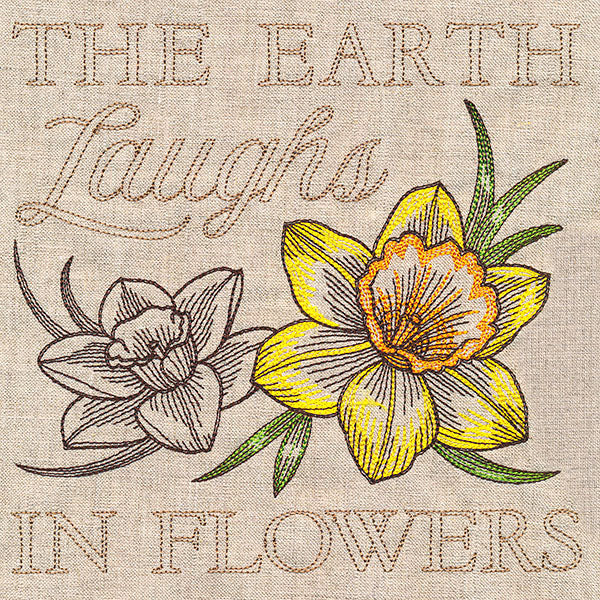 Delightful Daffodils Medley - Image 2