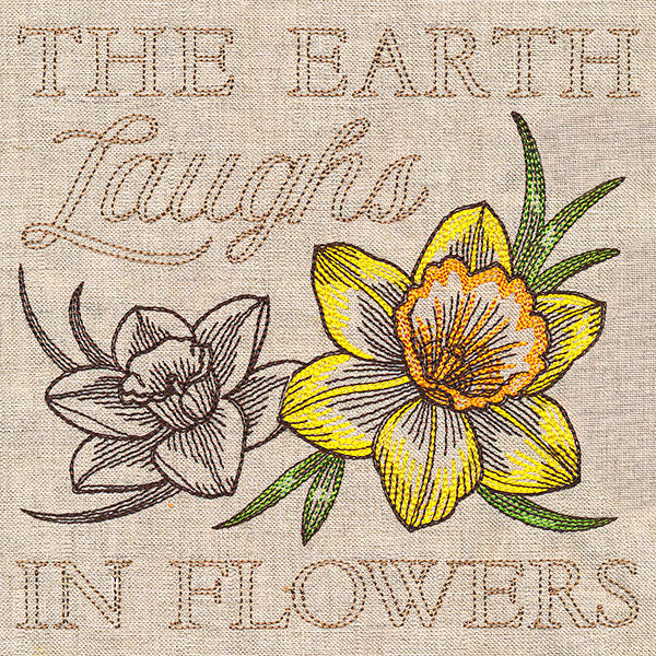 Delightful Daffodils Medley - Image 3