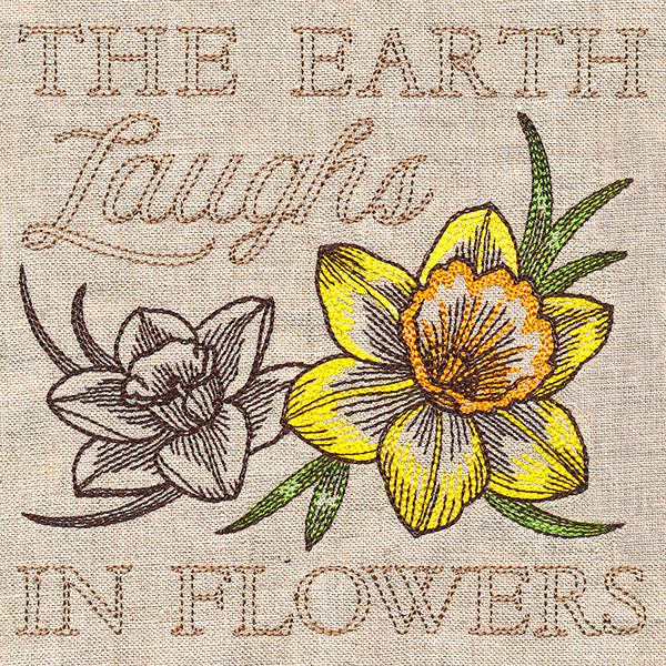 Delightful Daffodils Medley - Image 4
