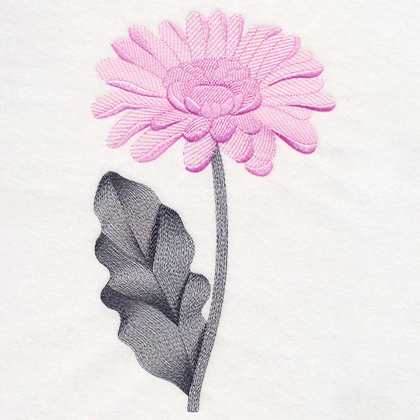 Delightful Daisy - Image 2