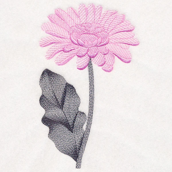 Delightful Daisy - Image 4