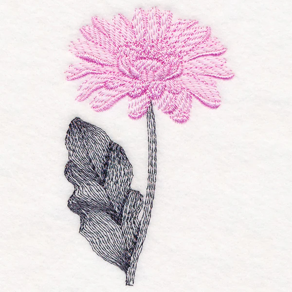 Delightful Daisy - Image 5