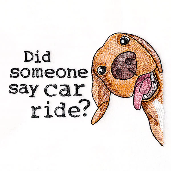 Did Someone Say Car Ride Dog - Image 3