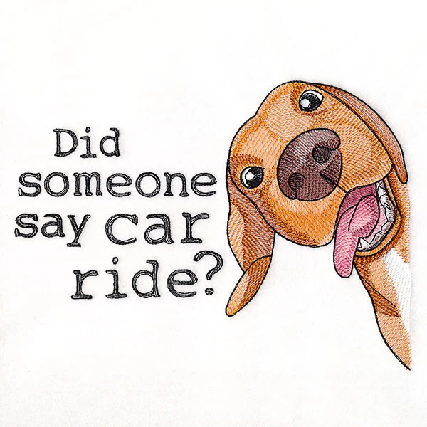Did Someone Say Car Ride Dog - Image 4