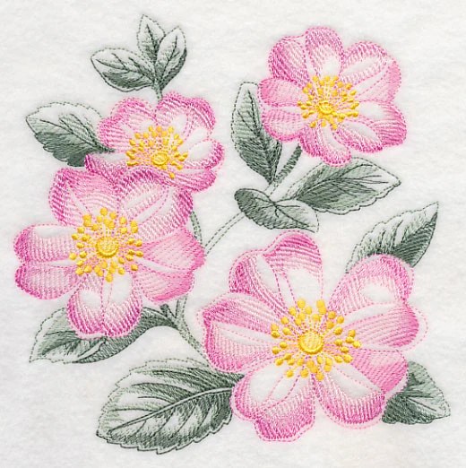 Dog Roses Sketch - Image 2