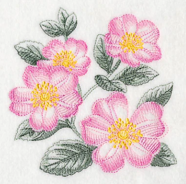 Dog Roses Sketch - Image 4