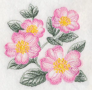 Dog Roses Sketch - Image 5