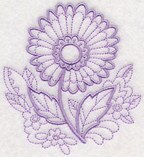 Doodle Aster - Image 4
