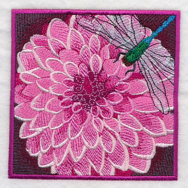 Dragonfly on Dahlia - Image 4