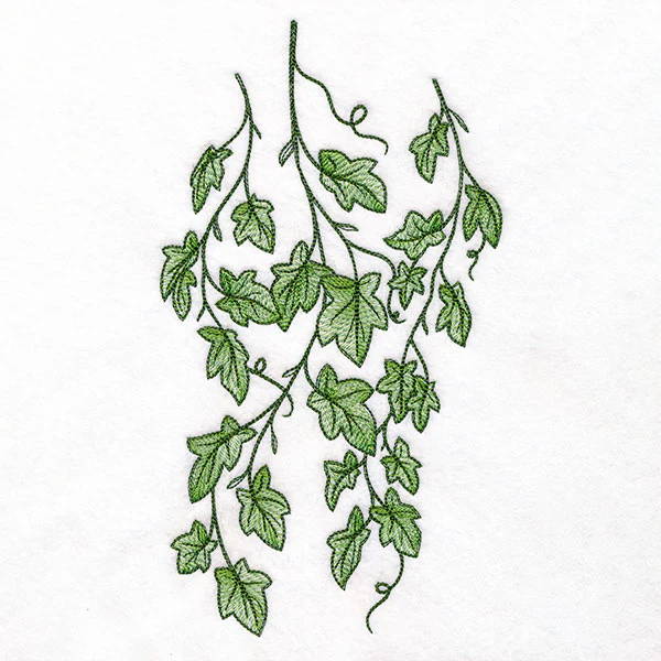 Draping English Ivy Border - Image 2