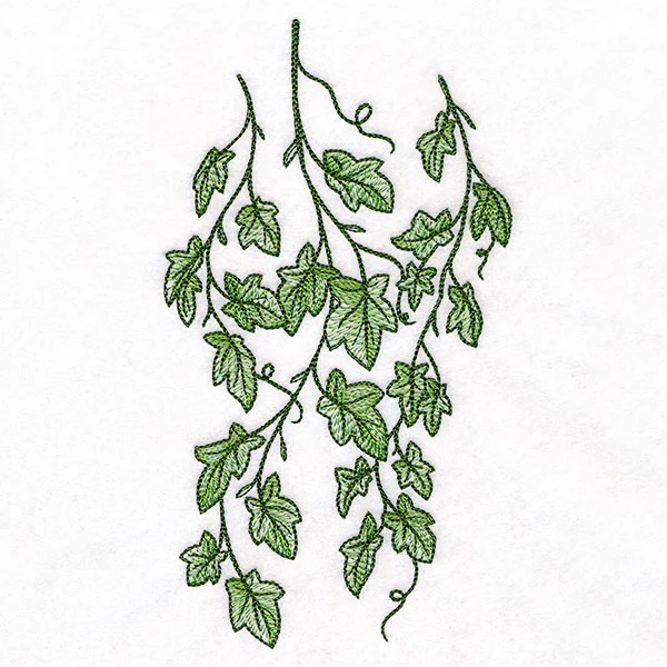 Draping English Ivy Border - Image 3
