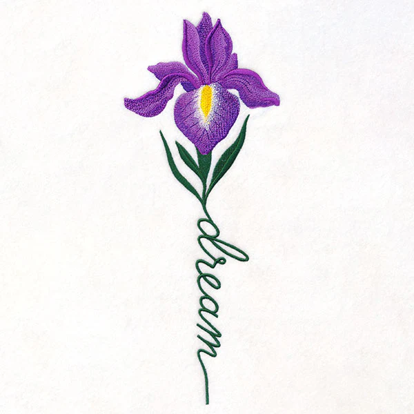 Dream Bloom Iris - Image 6