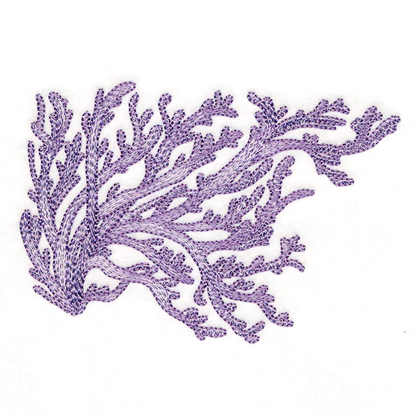 Dreamy Coral 4 - Image 3