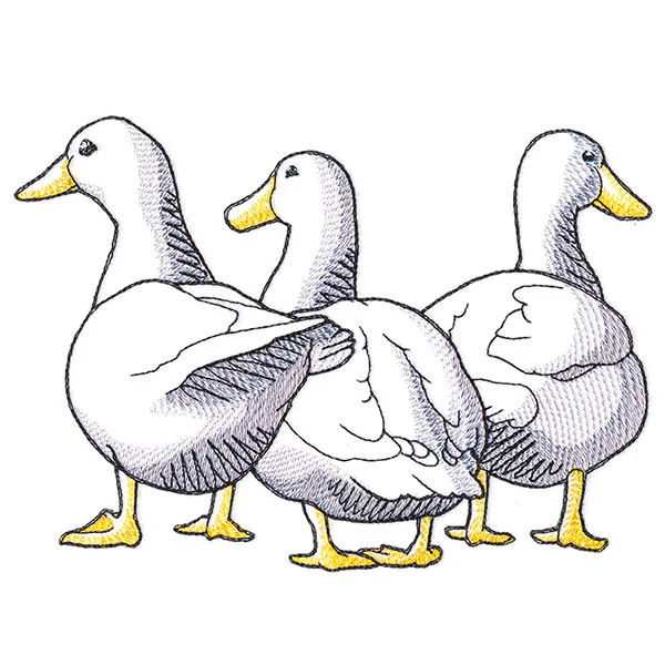 Duck Trio - Back - Image 3