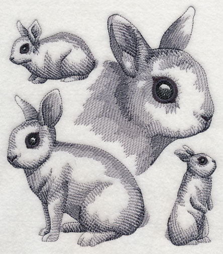 Dwarf Hotot Sketch - Image 2