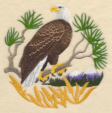 Eagle Scene - Image 4