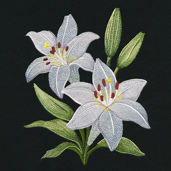 Easter Lily Blooms - Image 4