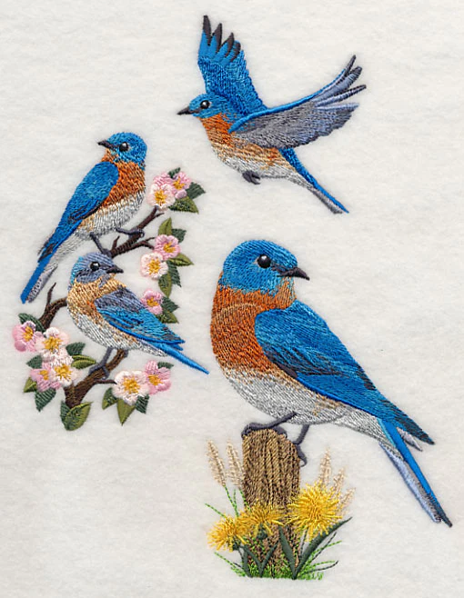 Eastern Bluebird Collage - Image 2