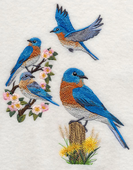 Eastern Bluebird Collage - Image 3