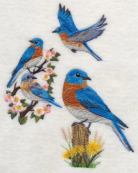 Eastern Bluebird Collage - Image 4