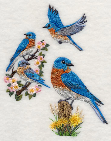 Eastern Bluebird Collage - Image 5