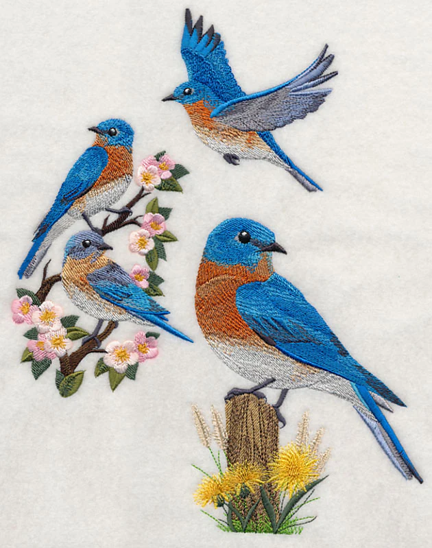 Eastern Bluebird Collage - Image 6